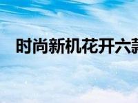 时尚新机花开六款 六款潮流新机全面解析