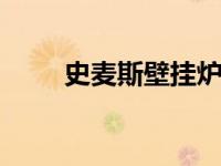 史麦斯壁挂炉说明书 用户操作指南