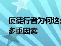 使徒行者为何这么火 深度解析其爆红背后的多重因素