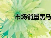 市场销量黑马 逆势增长背后的秘密