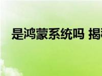填空什么的世界