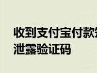 收到支付宝付款短信验证码 警惕诈骗短信勿泄露验证码