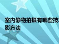 室内静物拍摄有哪些技巧 从光线到构图快速掌握专业静物摄影方法