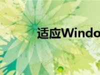 适应Windows 轻松上手新系统