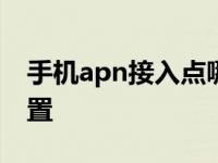 手机apn接入点哪个好 如何选择最佳APN设置