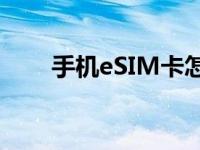 薛公田文入秦做了什么