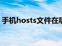 手机hosts文件在哪里 安卓iOS系统查找方法