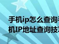 手机ip怎么查询手机ip查询方法 轻松掌握手机IP地址查询技巧