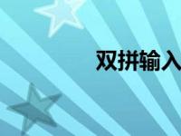 双拼输入法 高效打字技巧